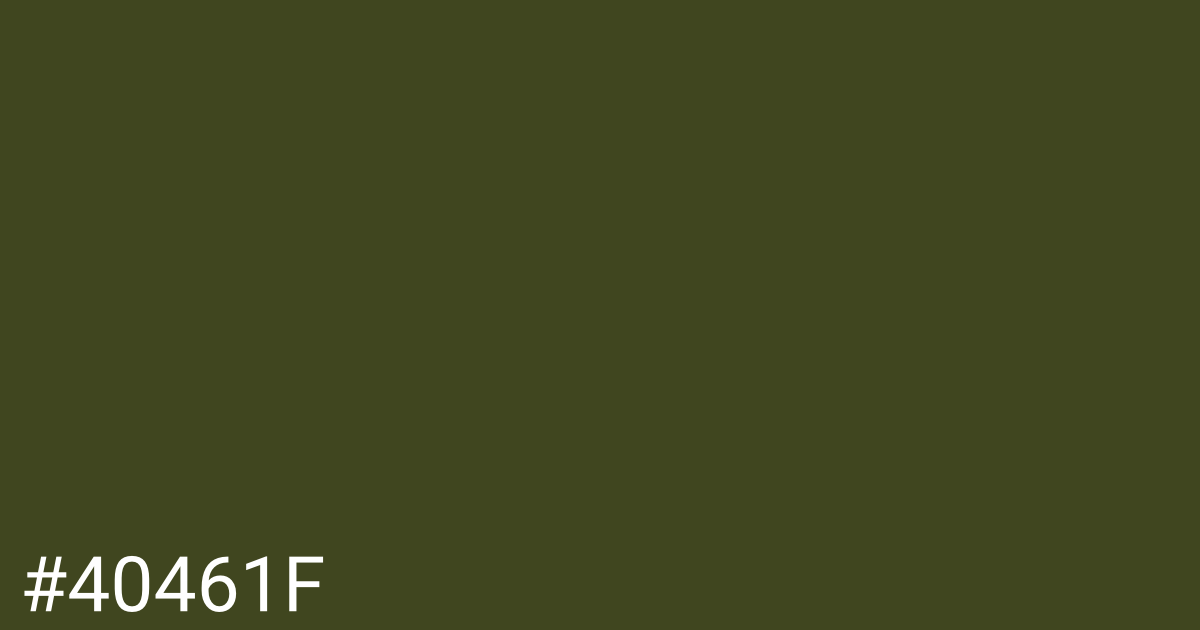 Hex color #40461f graphic