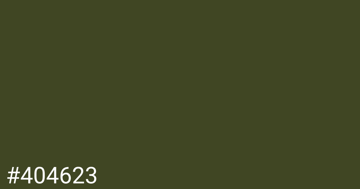 Hex color #404623 graphic