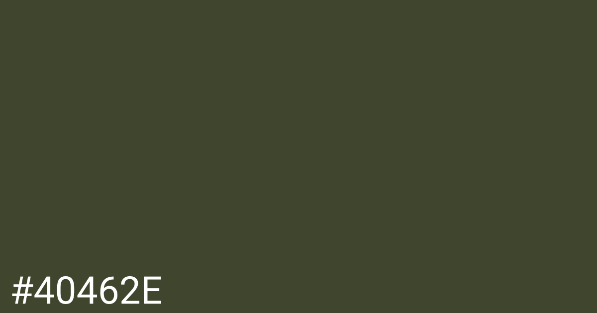 Hex color #40462e graphic