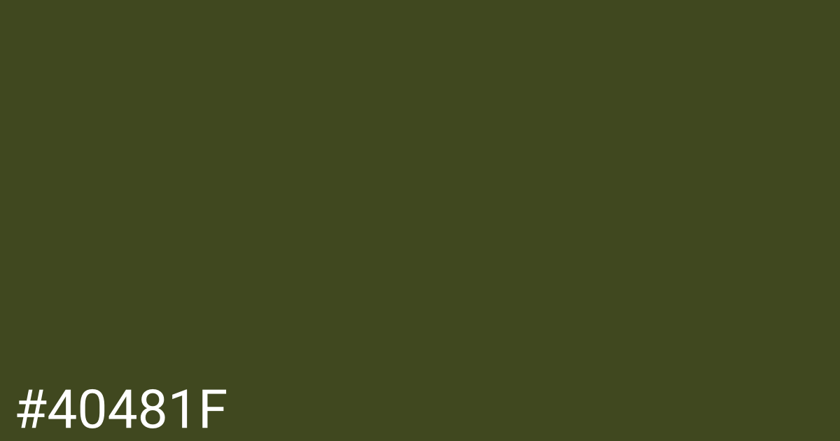 Hex color #40481f graphic