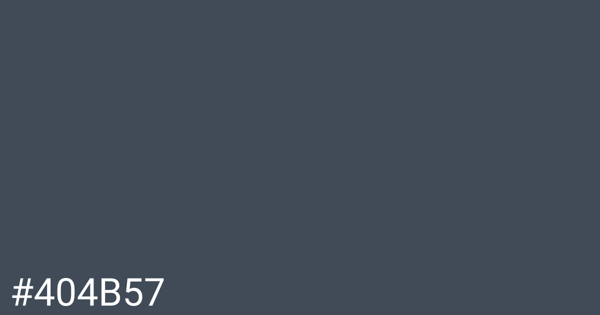 Hex color #404b57 graphic