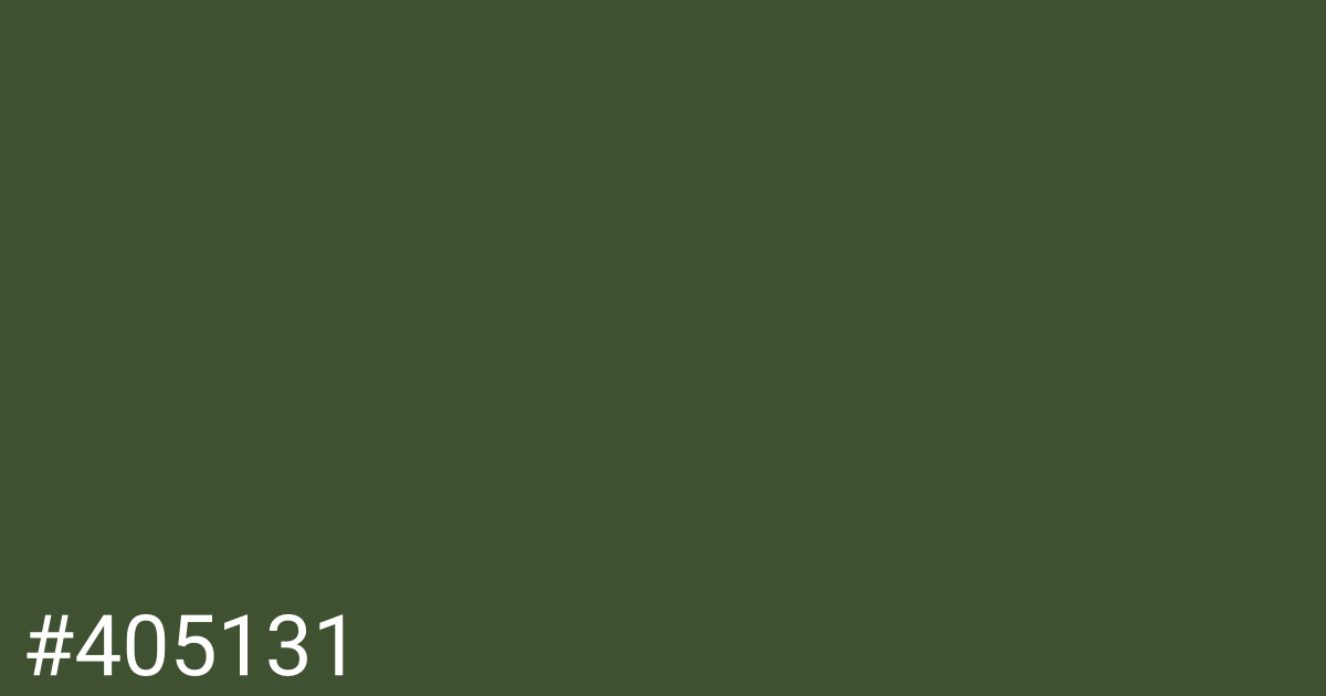 Hex color #405131 graphic