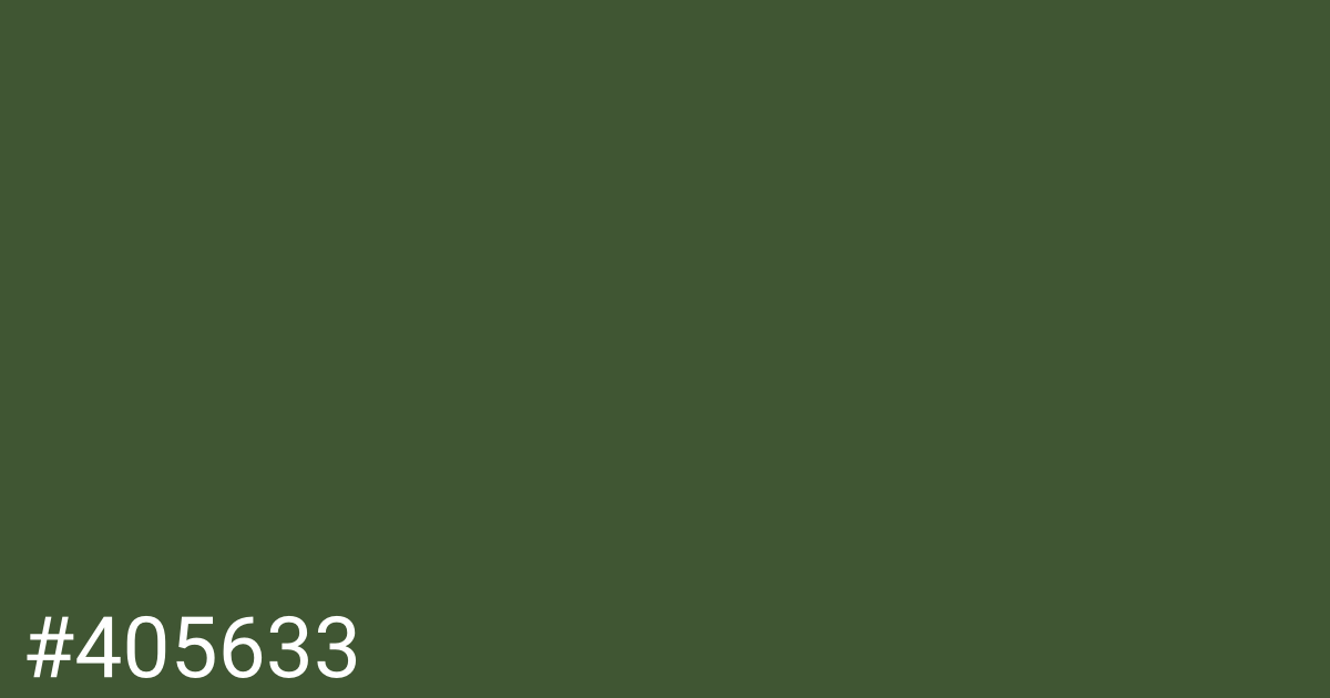 Hex color #405633 graphic