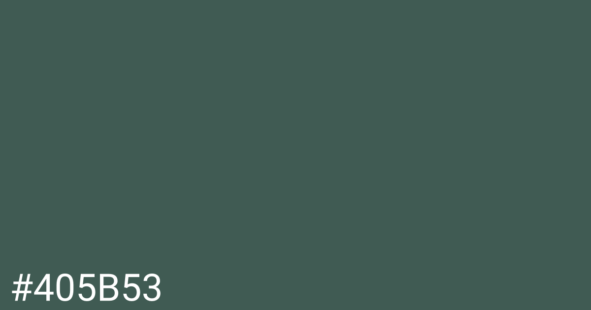 Hex color #405b53 graphic