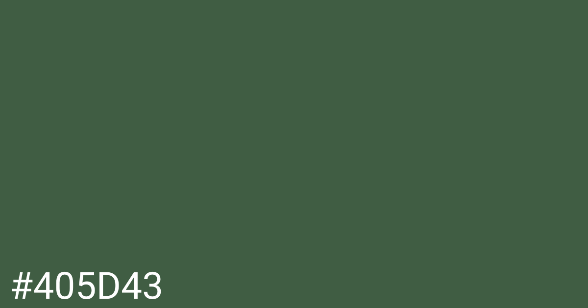 Hex color #405d43 graphic