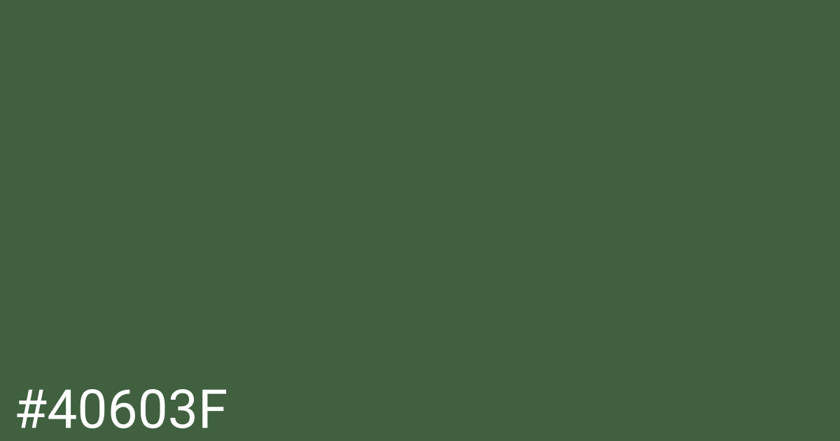 Hex color #40603f graphic