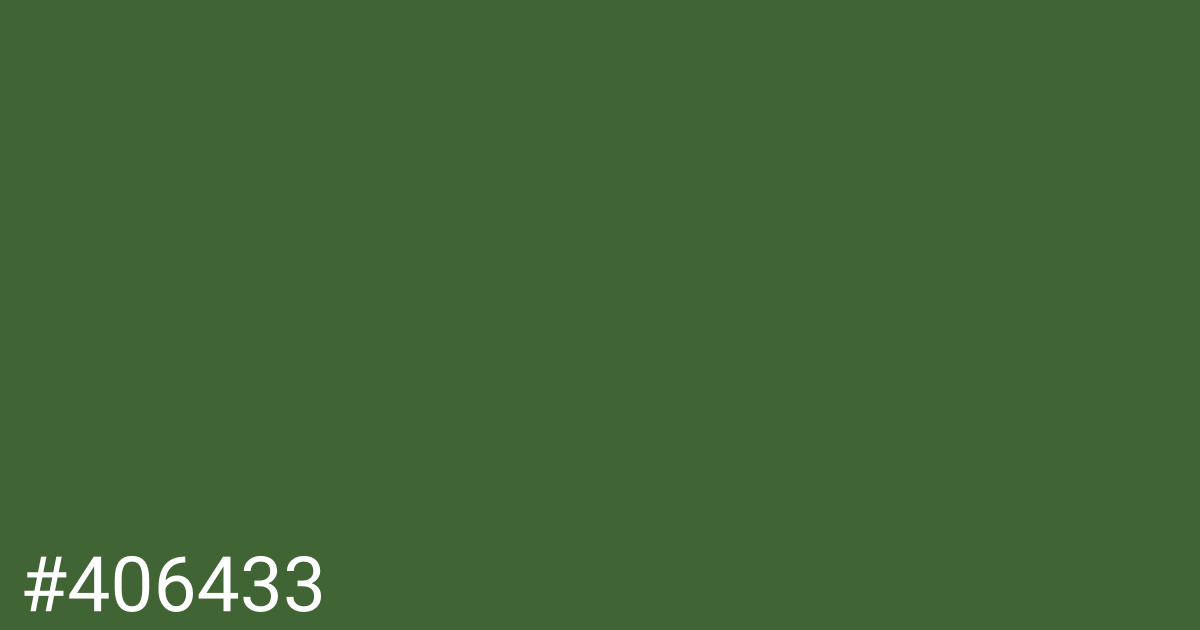 Hex color #406433 graphic