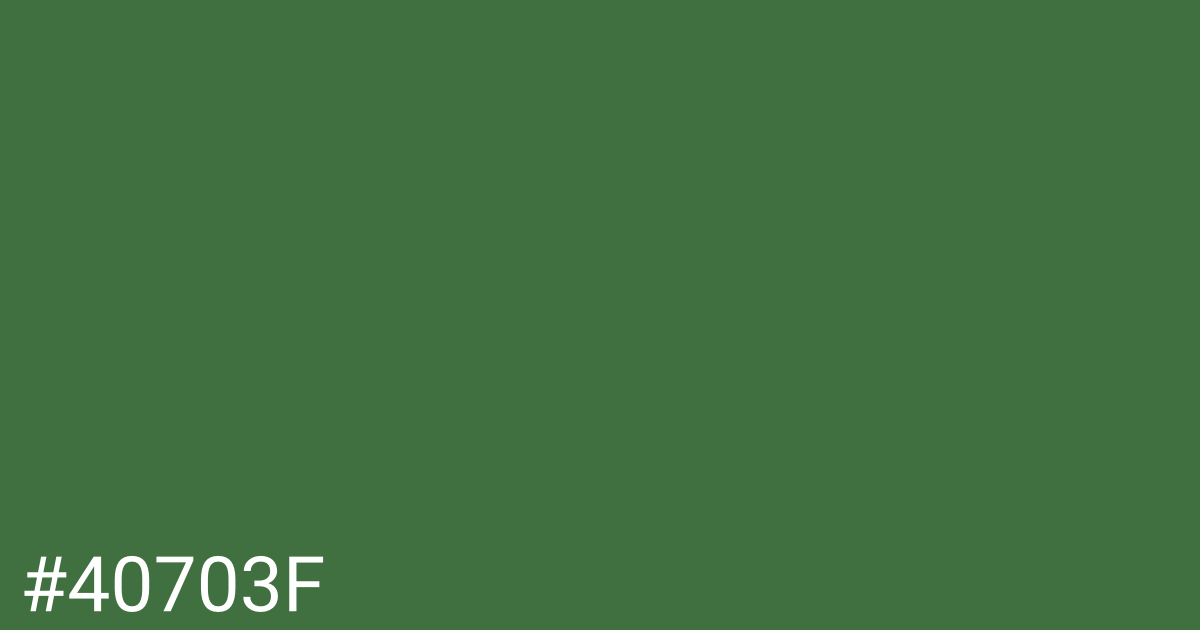 Hex color #40703f graphic