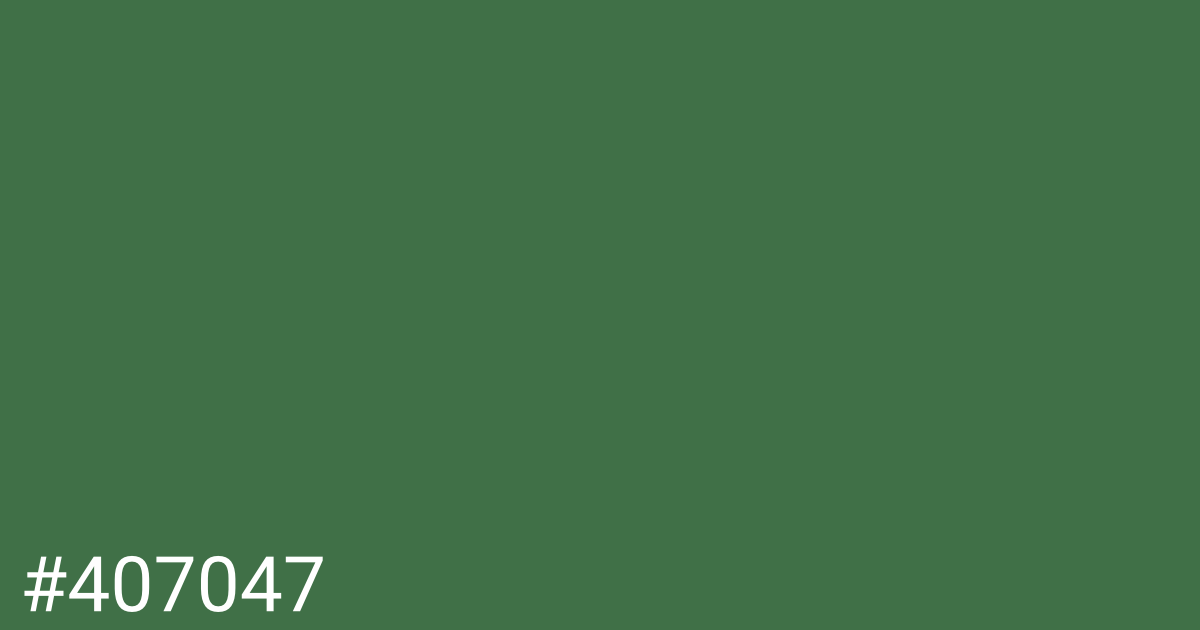Hex color #407047 graphic