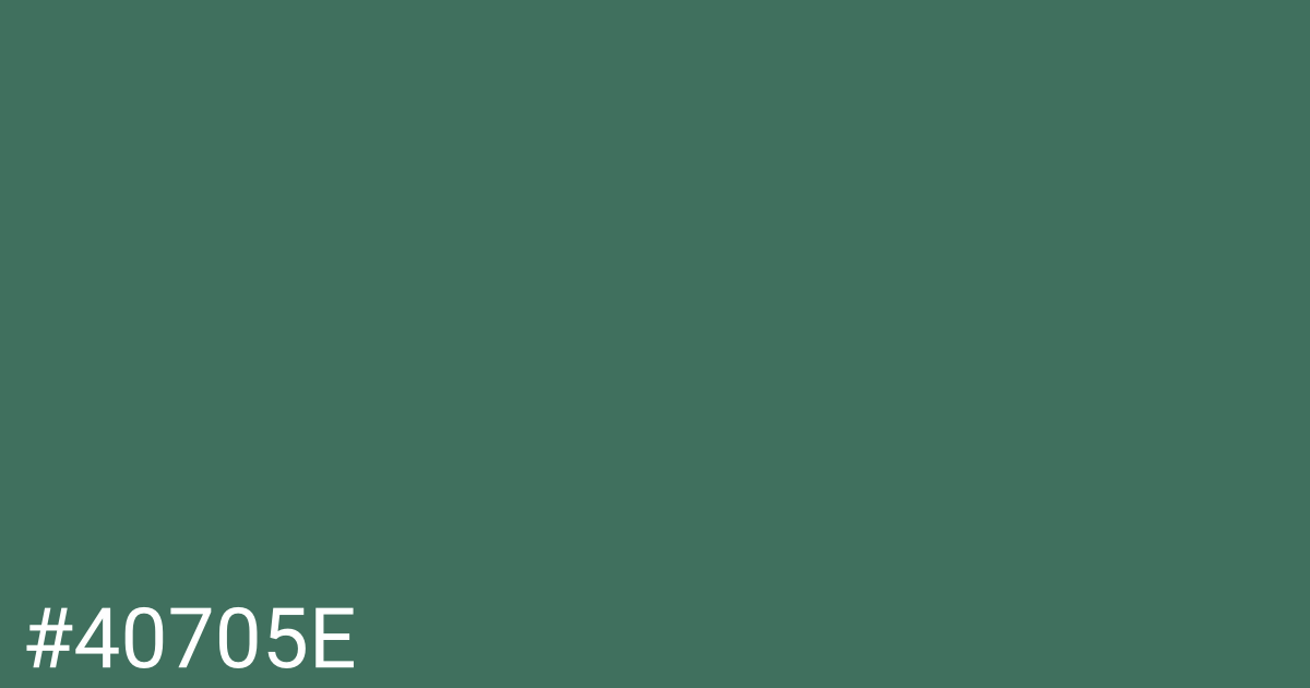 Hex color #40705e graphic