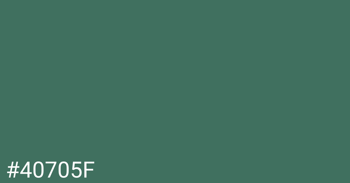 Hex color #40705f graphic