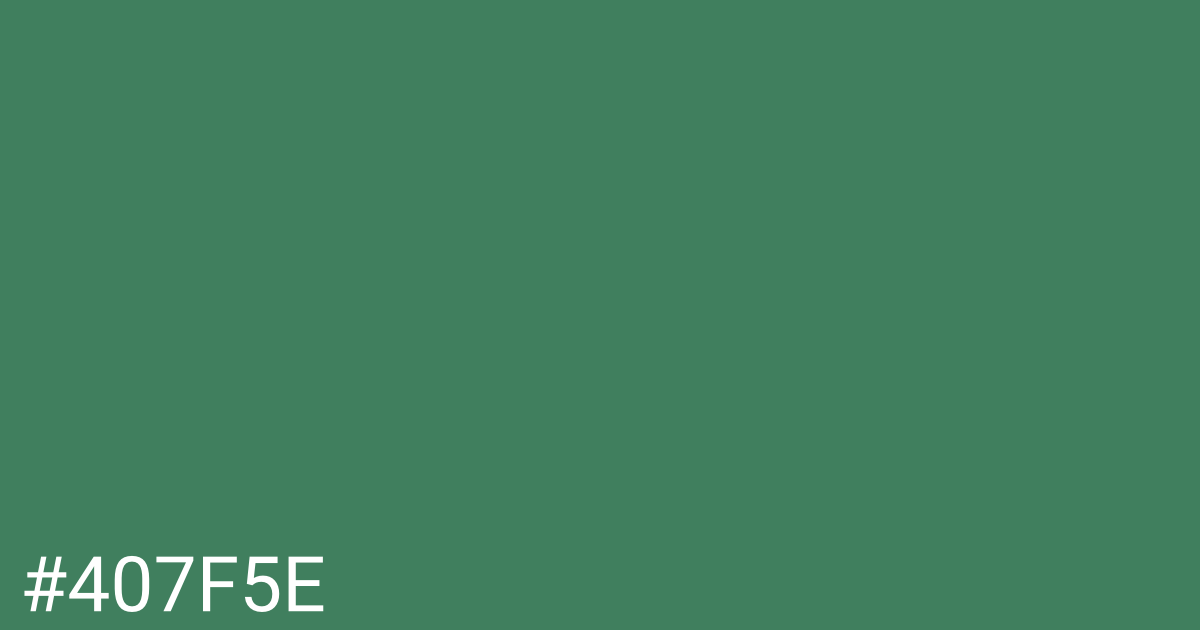 Hex color #407f5e graphic