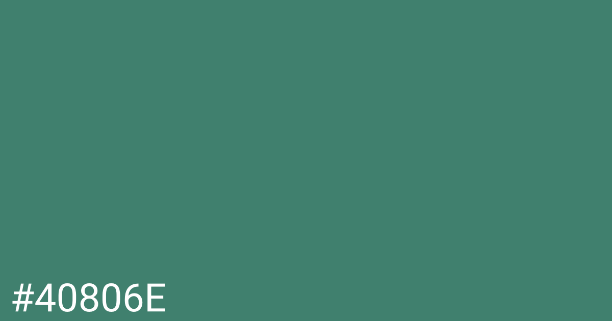 Hex color #40806e graphic