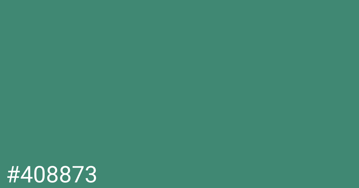 Hex color #408873 graphic