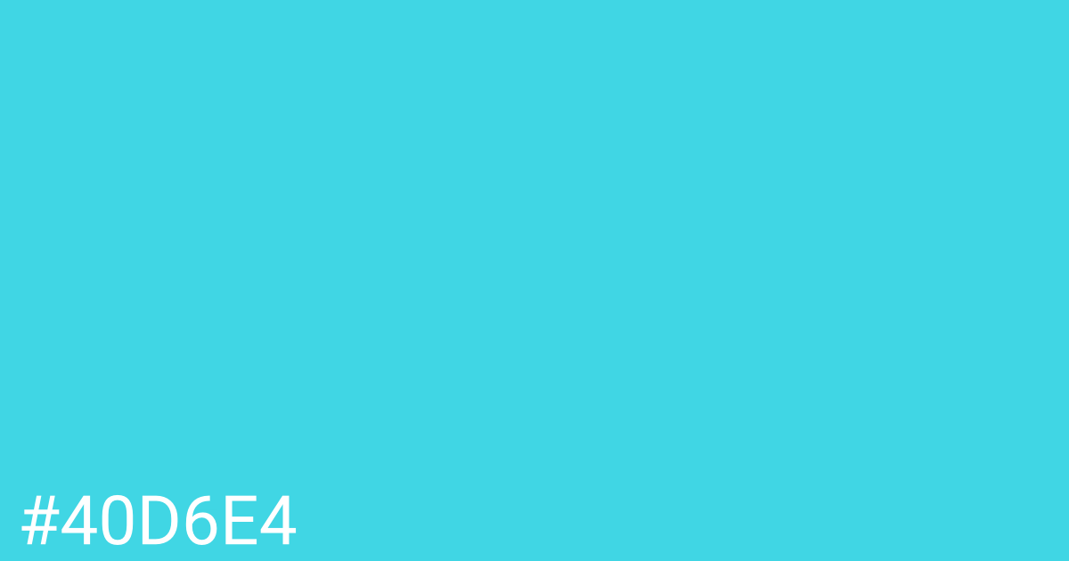 Hex color #40d6e4 graphic