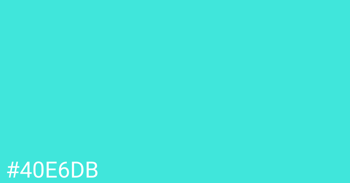 Hex color #40e6db graphic