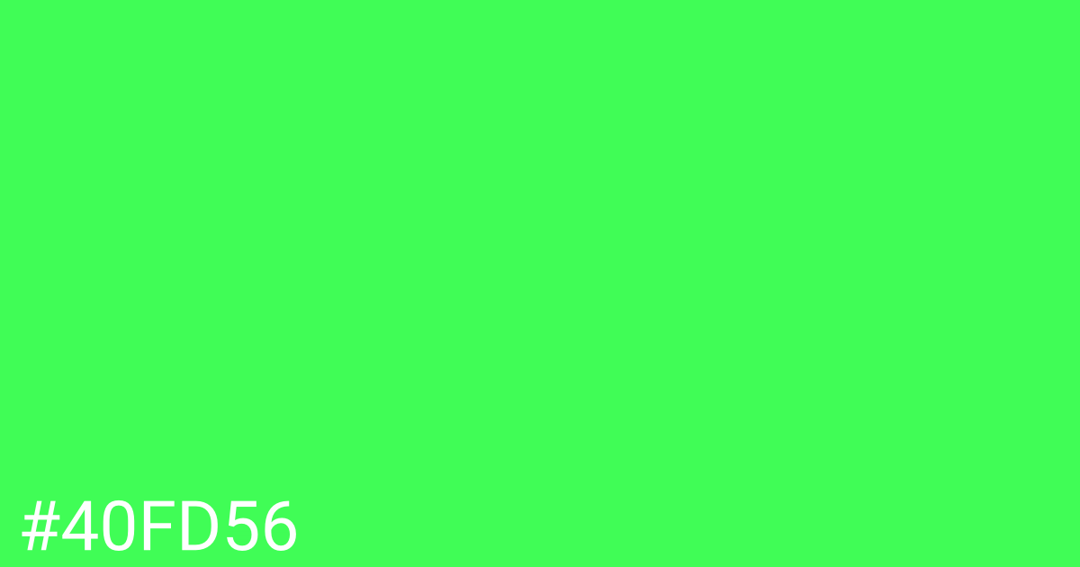 Hex color #40fd56 graphic