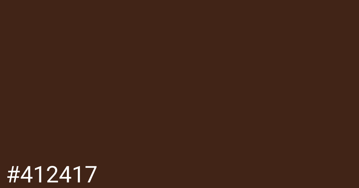 Hex color #412417 graphic