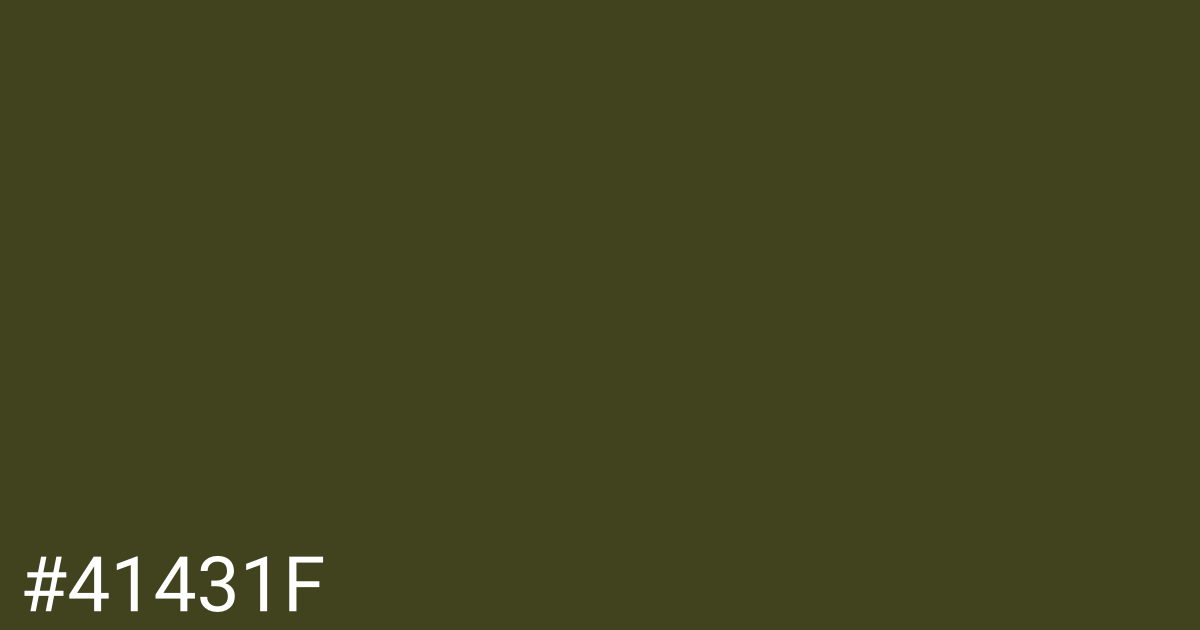 Hex color #41431f graphic