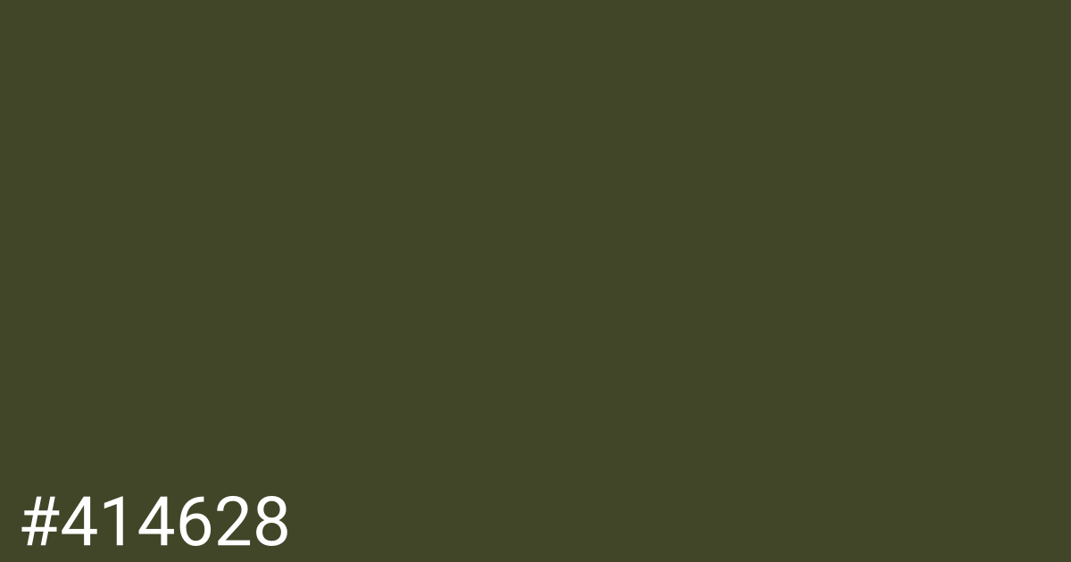 Hex color #414628 graphic