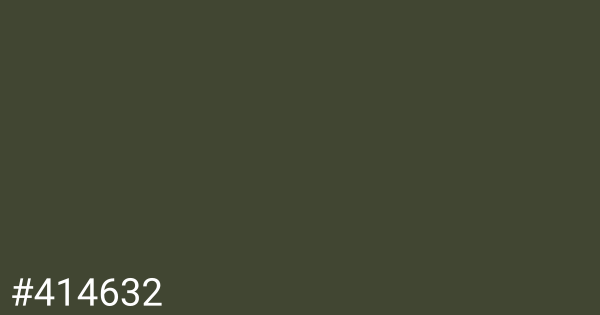 Hex color #414632 graphic