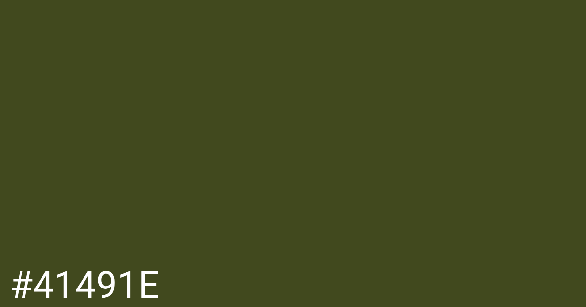 Hex color #41491e graphic