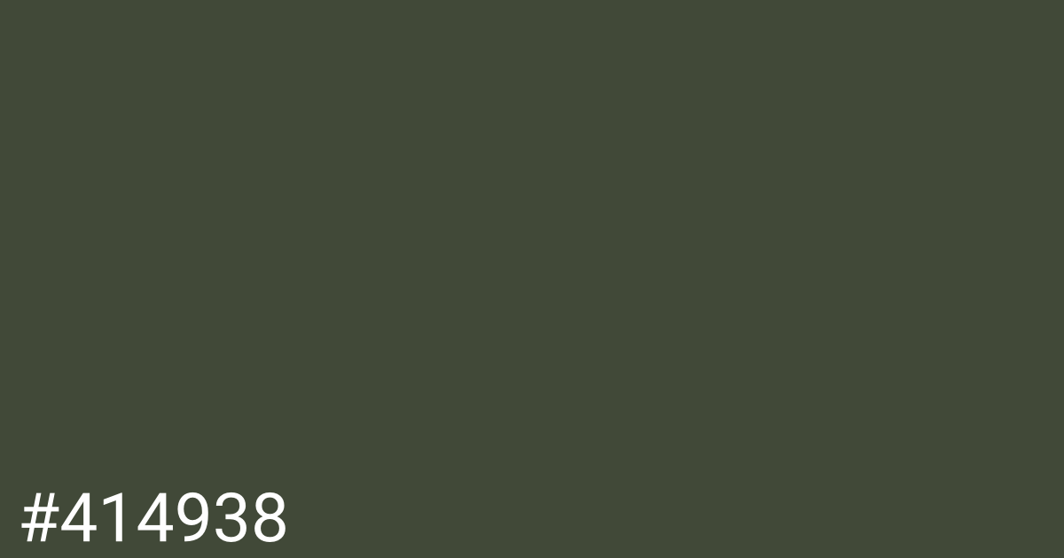 Hex color #414938 graphic