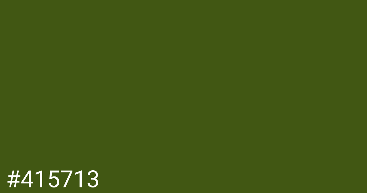 Hex color #415713 graphic