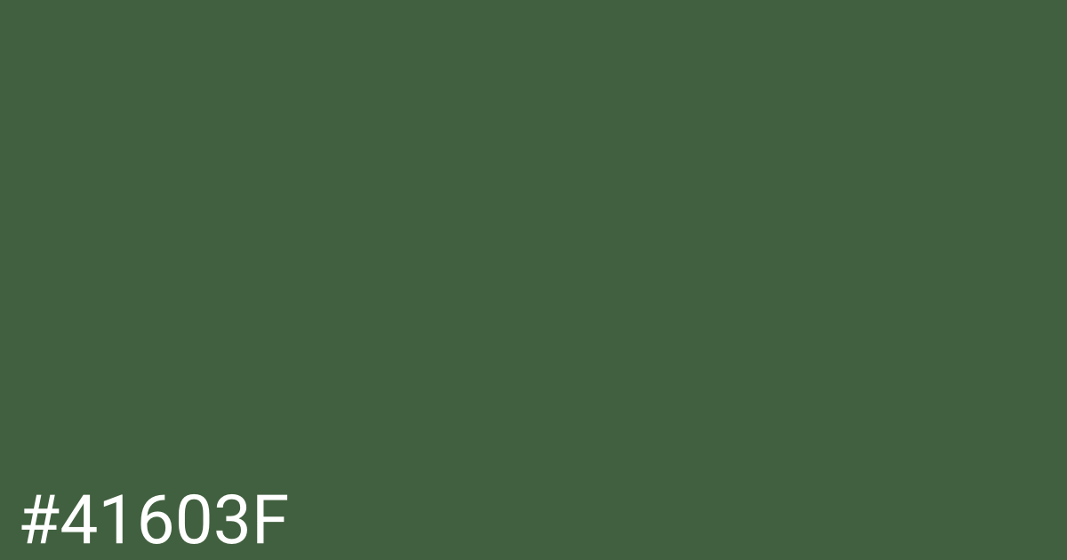 Hex color #41603f graphic