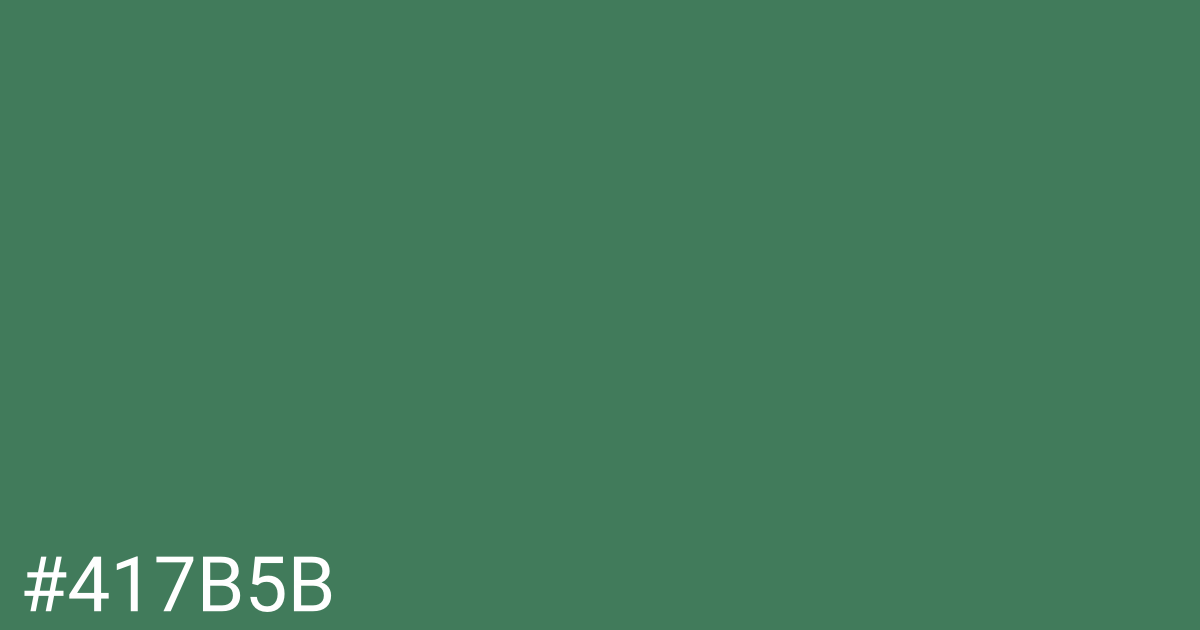 Hex color #417b5b graphic