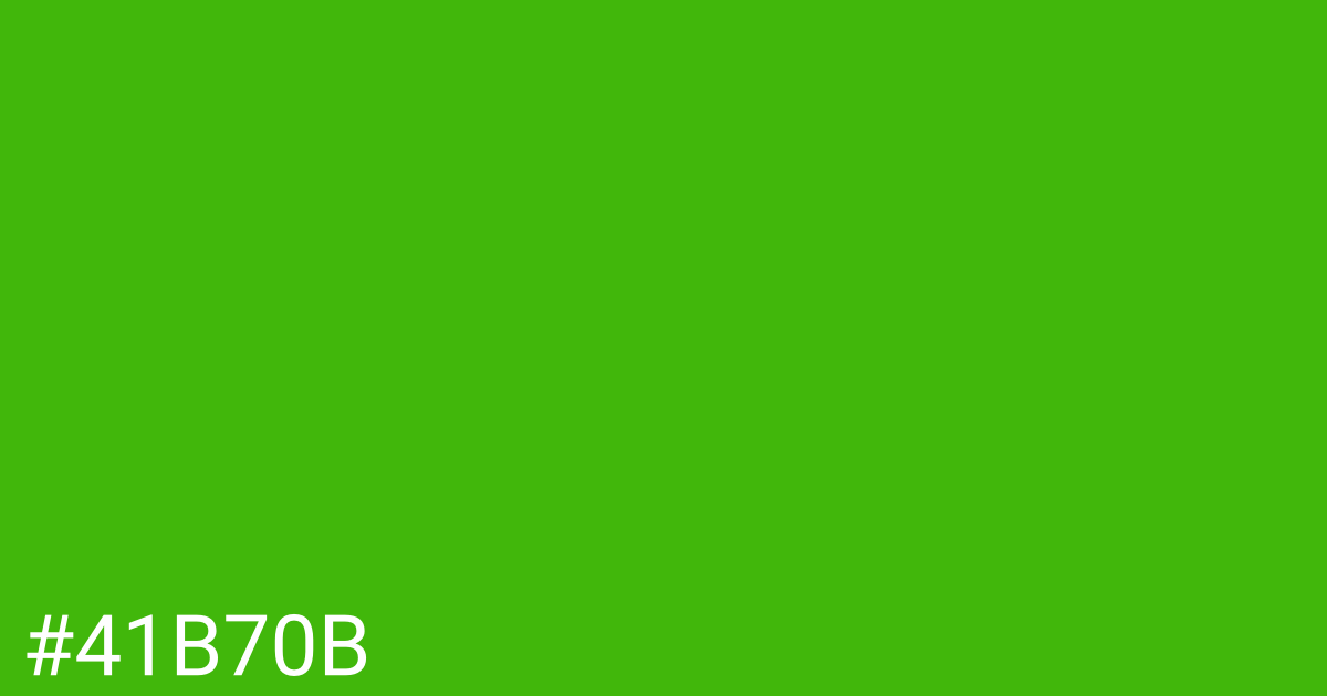 Hex color #41b70b graphic