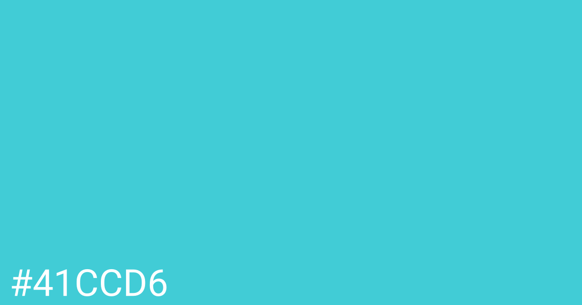 Hex color #41ccd6 graphic