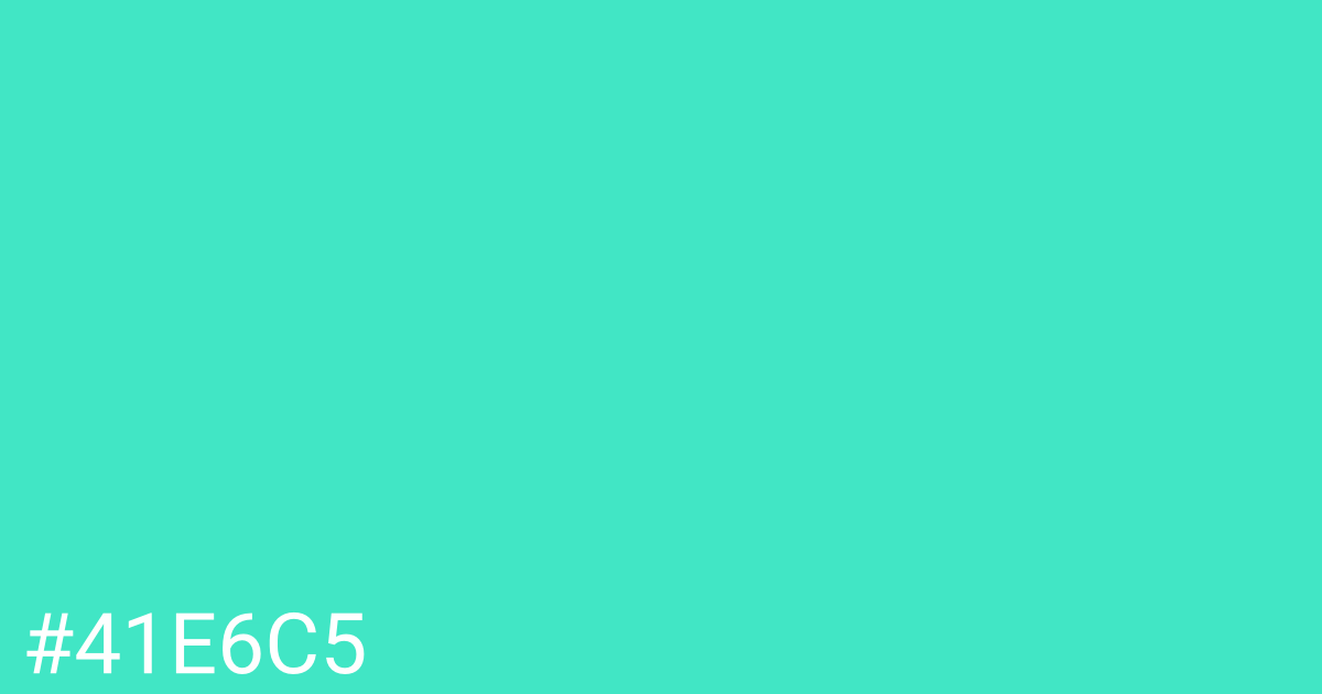 Hex color #41e6c5 graphic