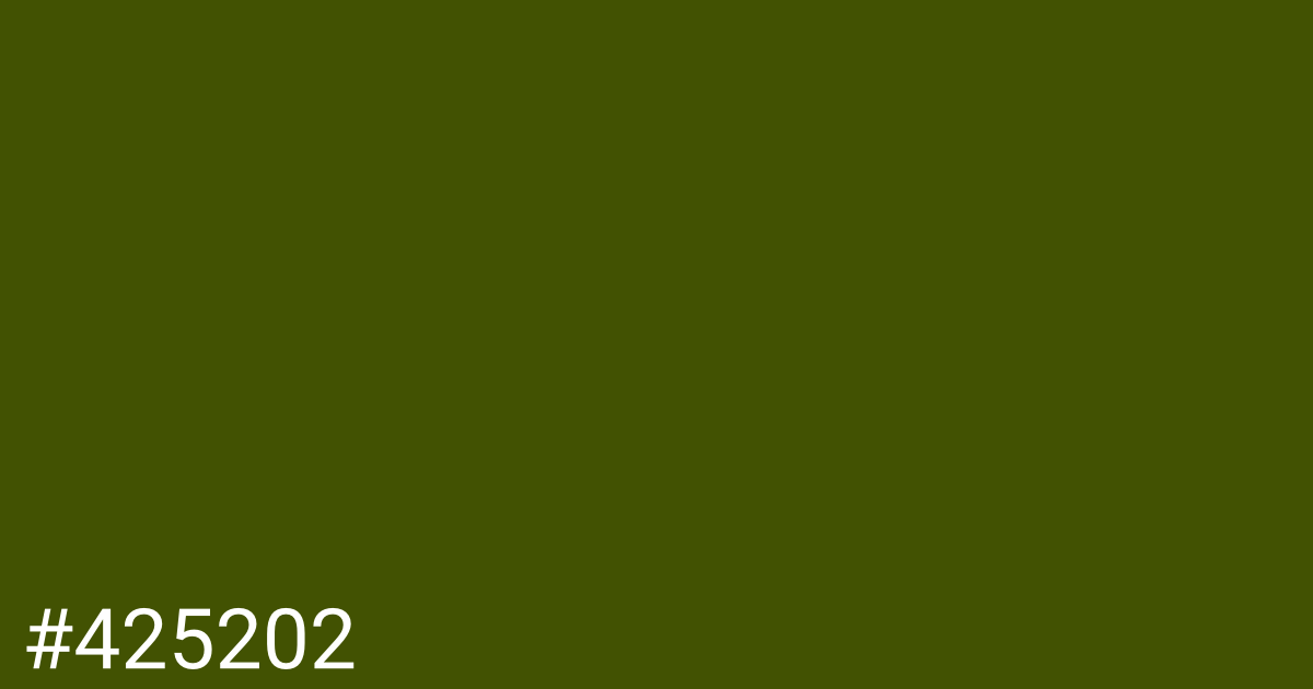 Hex color #425202 graphic