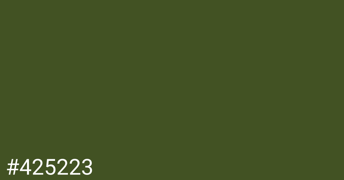 Hex color #425223 graphic