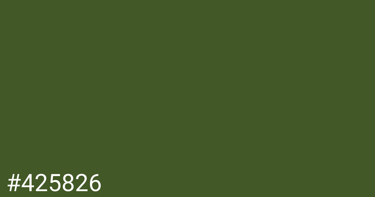 Hex color #425826 graphic