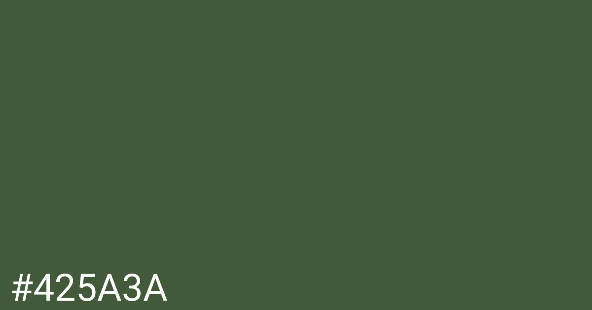 Hex color #425a3a graphic