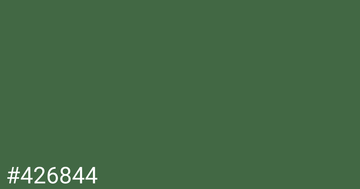 Hex color #426844 graphic