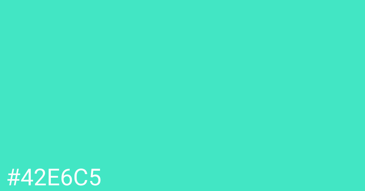 Hex color #42e6c5 graphic