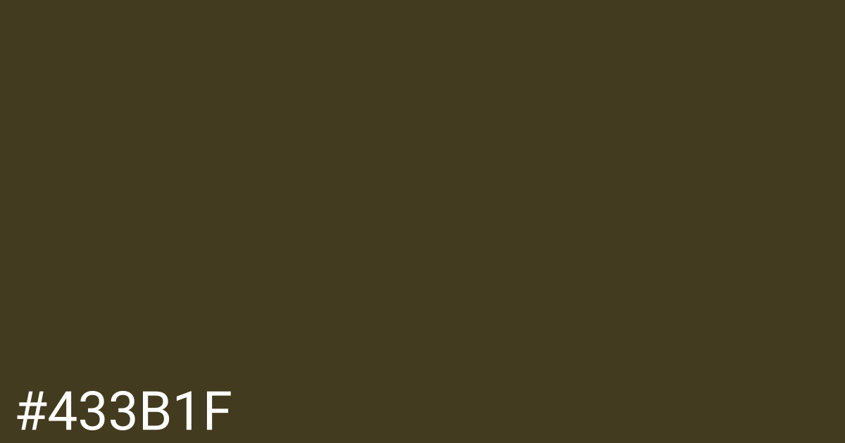 Hex color #433b1f graphic