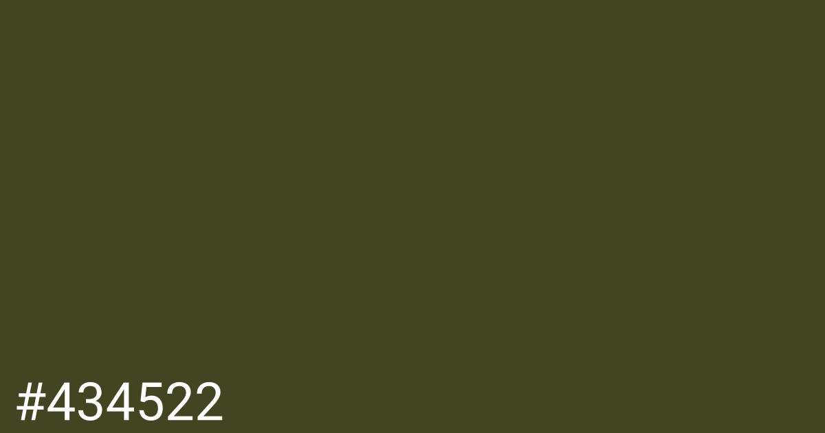 Hex color #434522 graphic