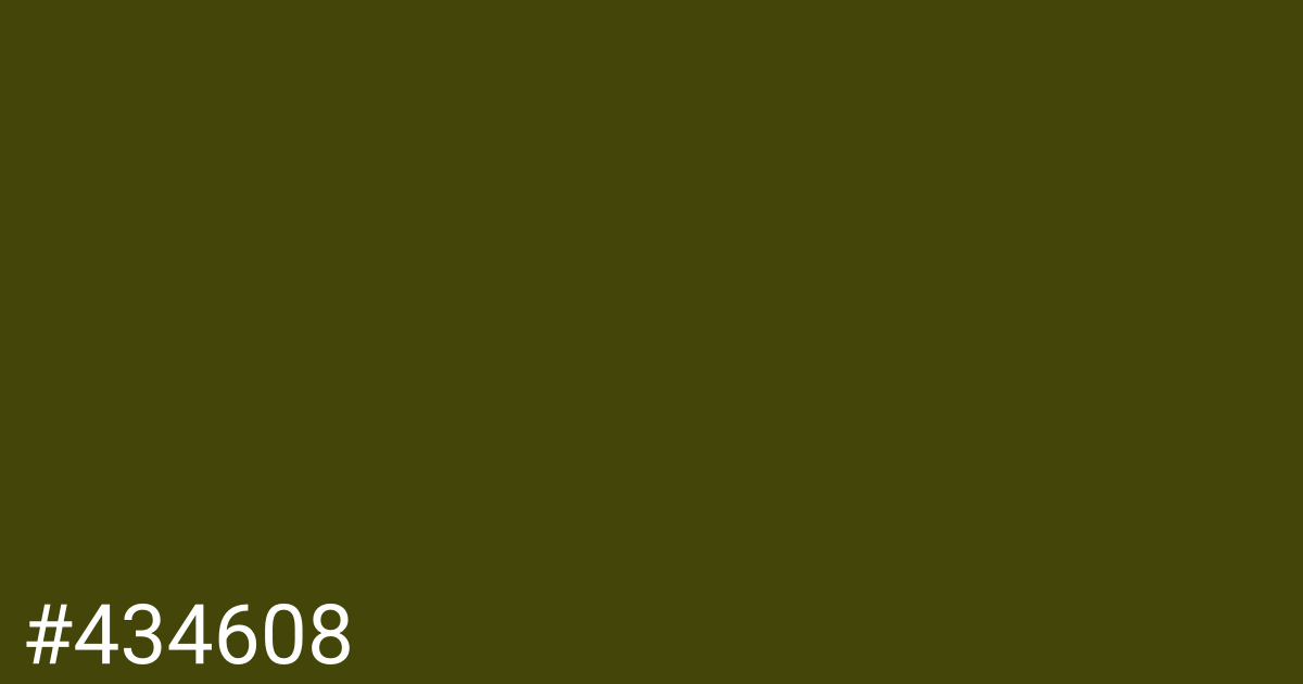 Hex color #434608 graphic