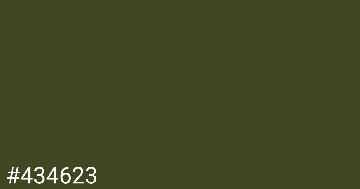 Hex color #434623 graphic