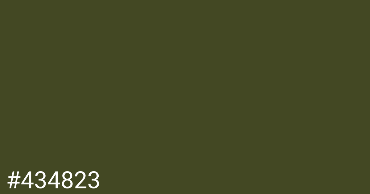 Hex color #434823 graphic