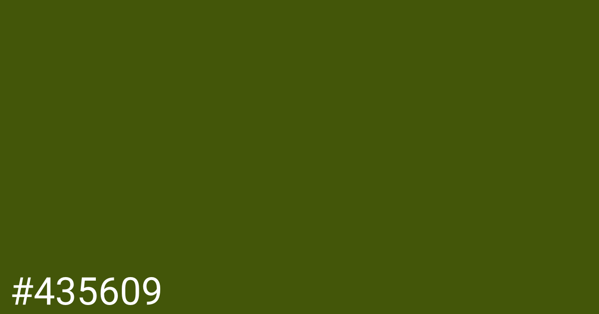 Hex color #435609 graphic