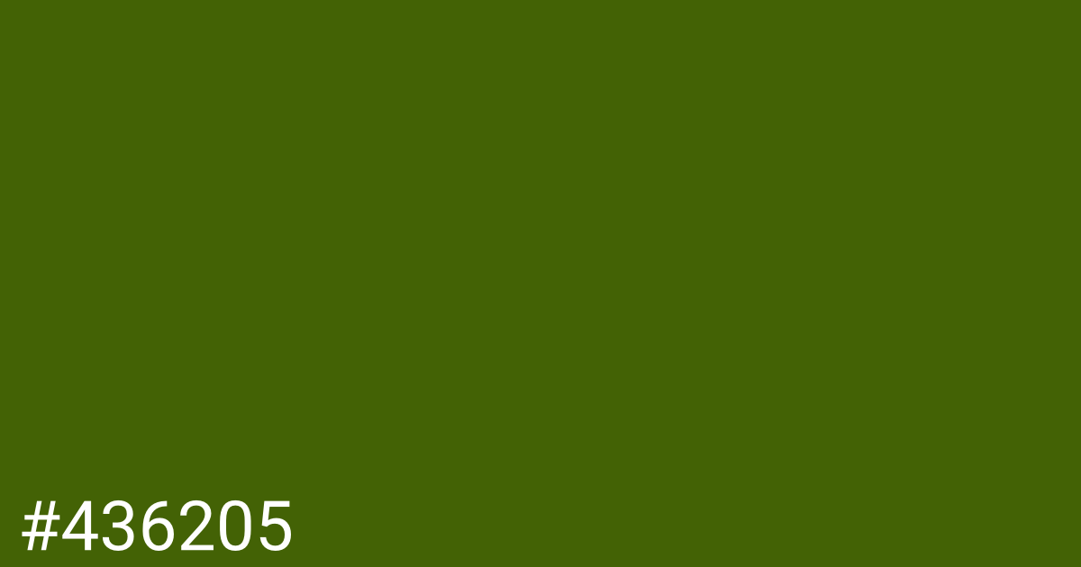 Hex color #436205 graphic