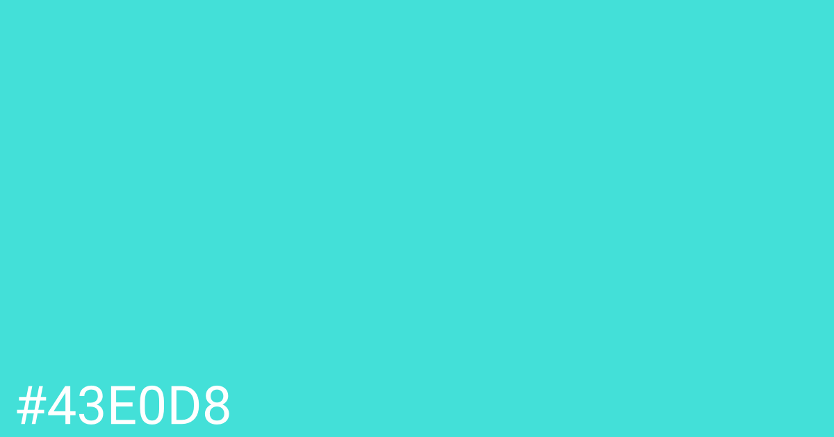 Hex color #43e0d8 graphic