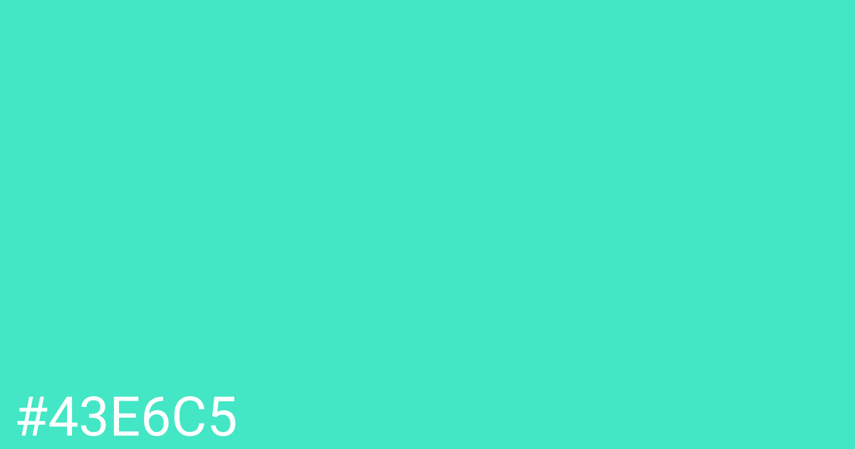 Hex color #43e6c5 graphic