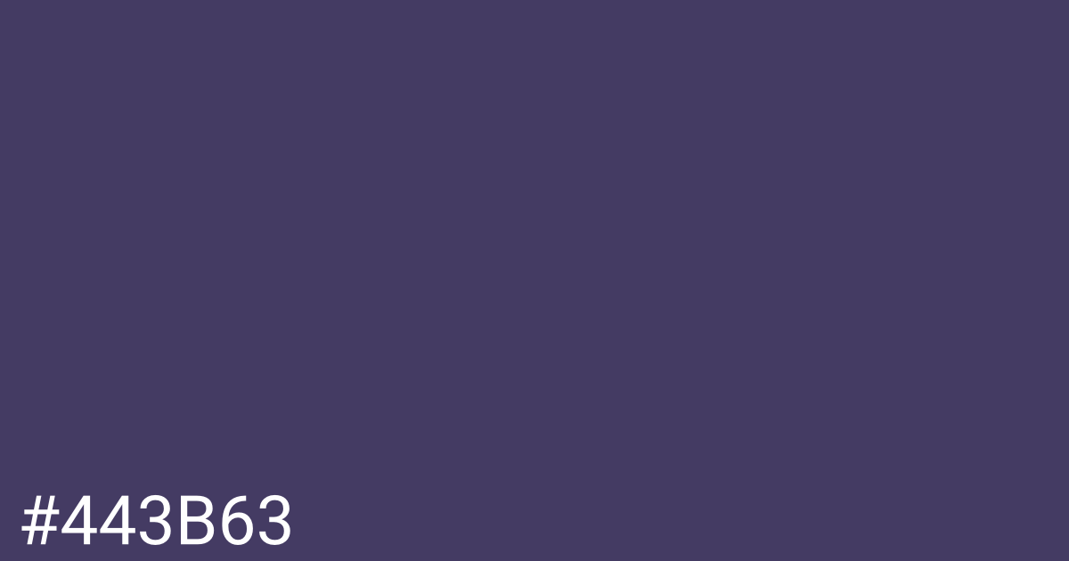 Hex color #443b63 graphic