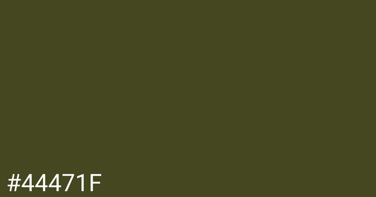 Hex color #44471f graphic